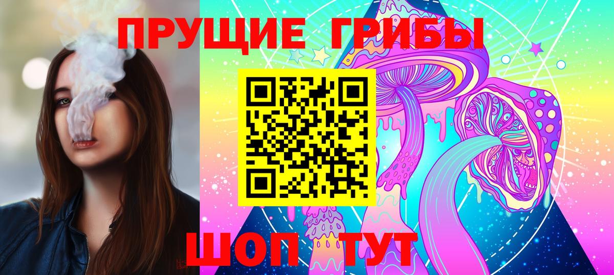Псилоцибиновые грибы GOLDEN TEACHER  Вход с VPN  Сертолово  Галлюциногенные грибы прущие грибы 